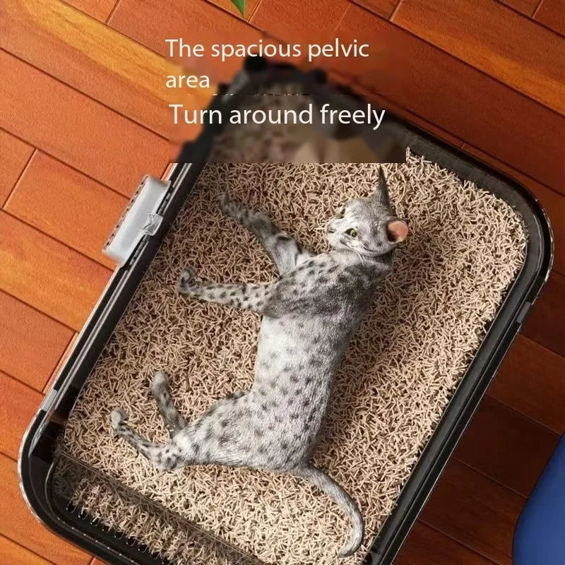 🐱 ARENERO SEMICERRADO PARA GATOS CON DISEÑO ANTISALPICADURAS